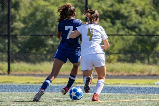 乐动体育直播官网 背景